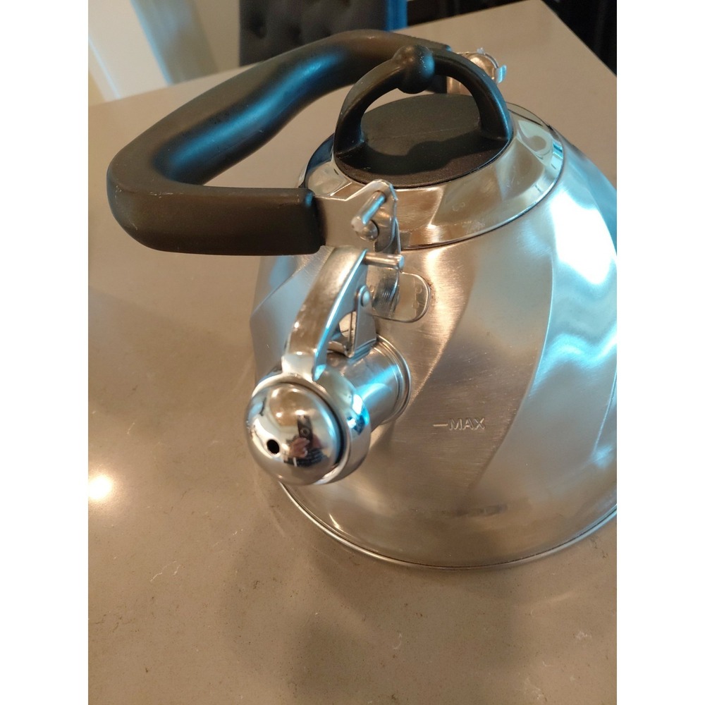 Palm Restaurant Whistling Tea Kettle Tea Pot Stainless Steel Teapot Swirl Design